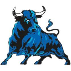 Blue Toro Adhesive 6x8 cm