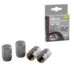 Bouchons de vanne chromées...