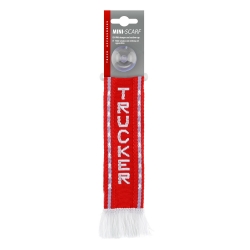 MINI BANDERINES TRUKER