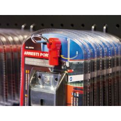 Magnetic anti-theft system